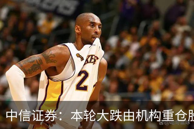 中信证券：本轮大跌由机构重仓股诱发，传导至高融资占比板块，AI核心票调整接近尾声