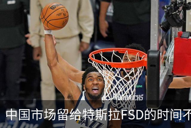 中国市场留给特斯拉FSD的时间不多了？