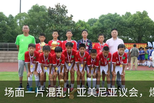 场面一片混乱！亚美尼亚议会，爆发群殴