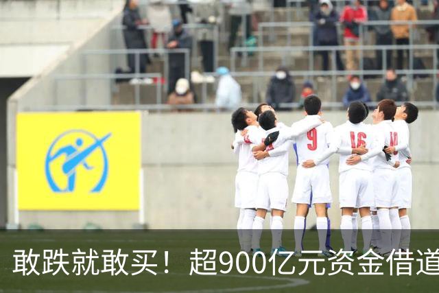 敢跌就敢买！超900亿元资金借道ETF蜂拥进场，除了沪深300，这些主题ETF也被大手笔买入