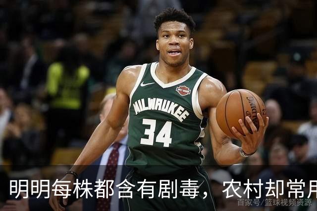 明明每株都含有剧毒，农村却常用来做腌菜，如今为何消失不见？