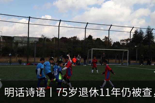 明话诗语丨75岁退休11年仍被查，千亿混改不是漏油阀
