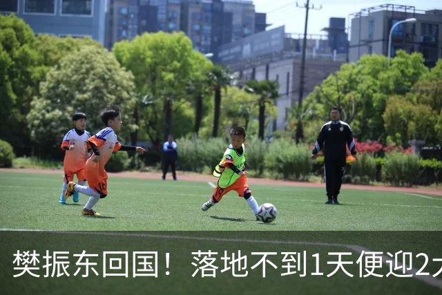 樊振东回国！落地不到1天便迎2大好消息，网友：终于等到这一天