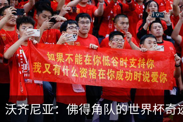 沃齐尼亚：佛得角队的世界杯奇迹属于所有球员，并不仅仅是我