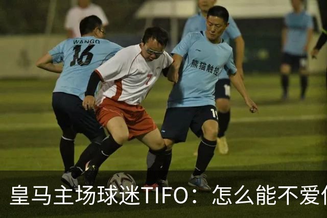 皇马主场球迷TIFO：怎么能不爱你，你一次又一次成为欧洲冠军