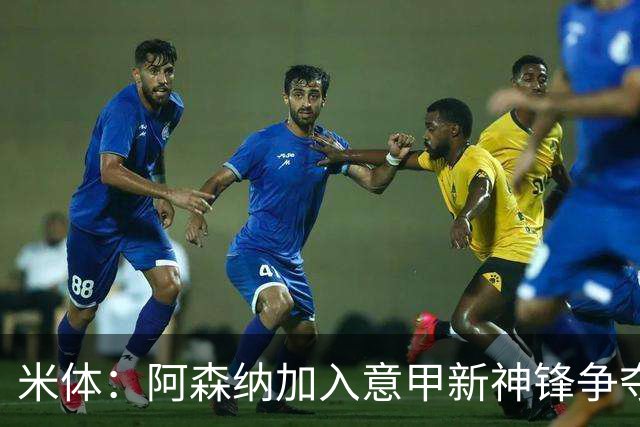 米体：阿森纳加入意甲新神锋争夺！阿尔特塔确认拉亚不会离队！