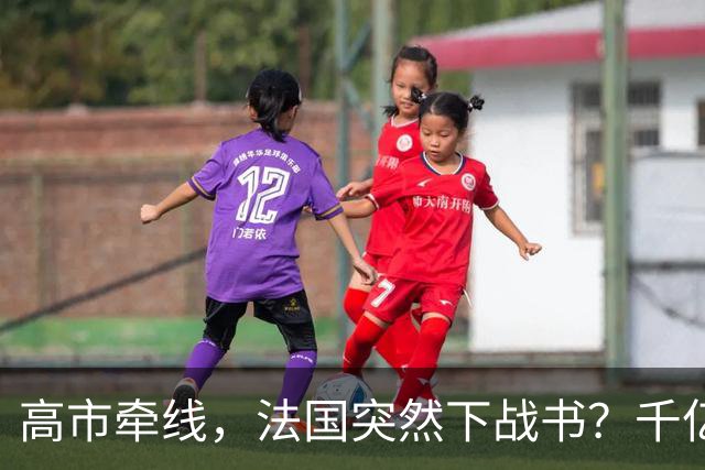 高市牵线，法国突然下战书？千亿合作或成废纸，结局早已注定