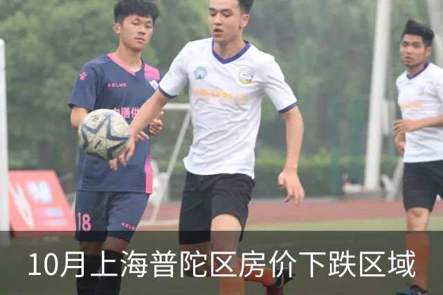10月上海普陀区房价下跌区域