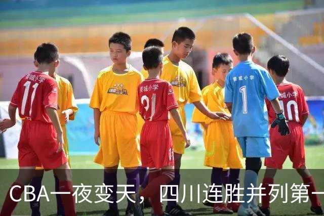 CBA一夜变天，四川连胜并列第一，广东队倒数，北京队冠军稳了